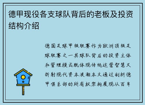 德甲现役各支球队背后的老板及投资结构介绍